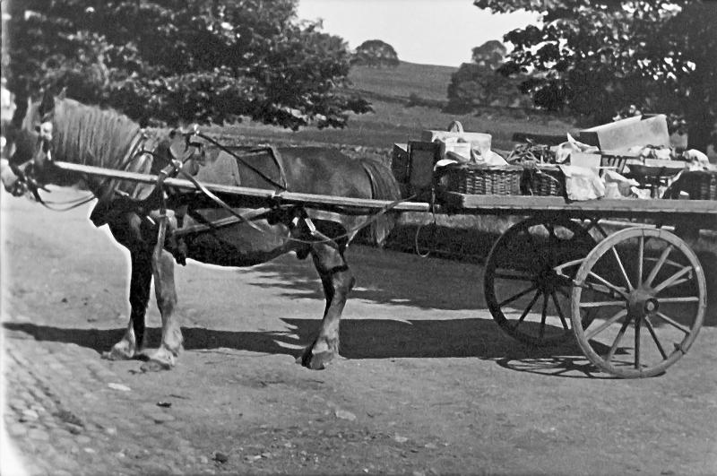 Wm Bowrings horse Ginger.jpg - Wm Bowring's horse Ginger c 1925 Fruiterer and fish Salesman, had his shop on the Green.